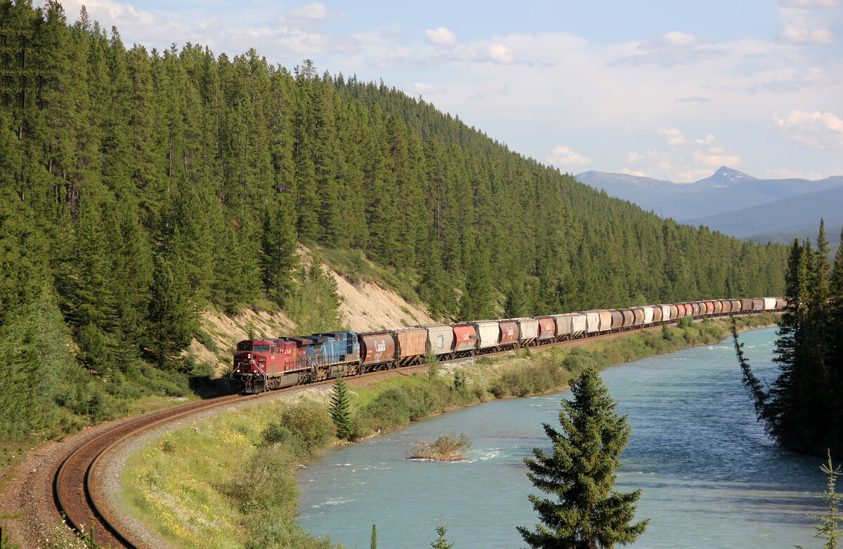Die Morant's Curve mit Blick Richtung S�den: gemischter CP-G�terzug f�hrt in der Abendsonne Richtung Norden. Das Foto wurde vom Parkplatz aus gemacht. Lake Louise, 9.8.2012