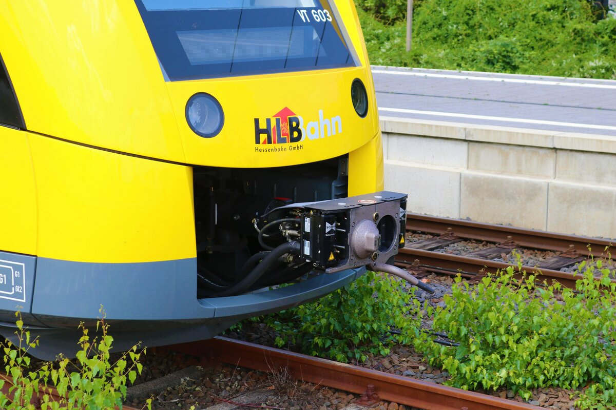 Die Nase von HLB Alstom Lint 41 VT603 in Frankfurt Höchst vom Bahnsteig aus fotografiert am 24.06.23