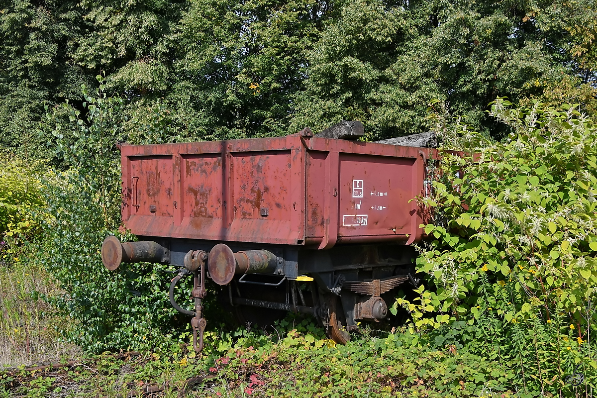 Die Natur hat diesen Güterwagen schon zu einem großen Teil verschlungen. (Gelsenkirchen, September 2019)