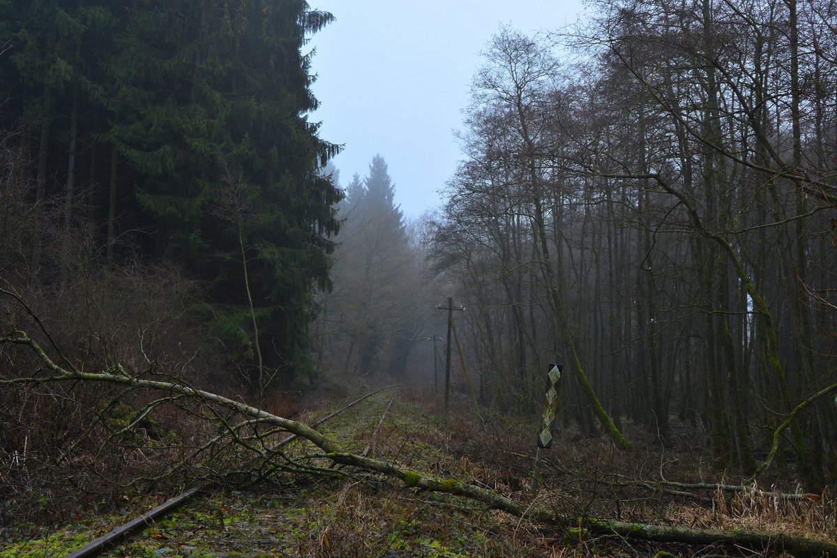 Die Natur hatte sich in den 18Jahren seit der Stilllegung 1998 vieles zurück geholt. Nun wird die Westerwaldquerbahn vielleicht aus dem Dornröschen Schlaf geholt. Denn man plant von Rennerod bis Westerburg eine Draisinenstrecke zu betreiben. Leider ist bis dahin noch viel Arbeit. Bis heute ist die Westerwaldquerbahn bis Rennerod noch größtenteils komplett vorhanden. Telegrafenmasten und Signaltechnik wurden bis heute nicht abgebaut. Blick in Richtung Westerburg.

Halbs 17.12.2016