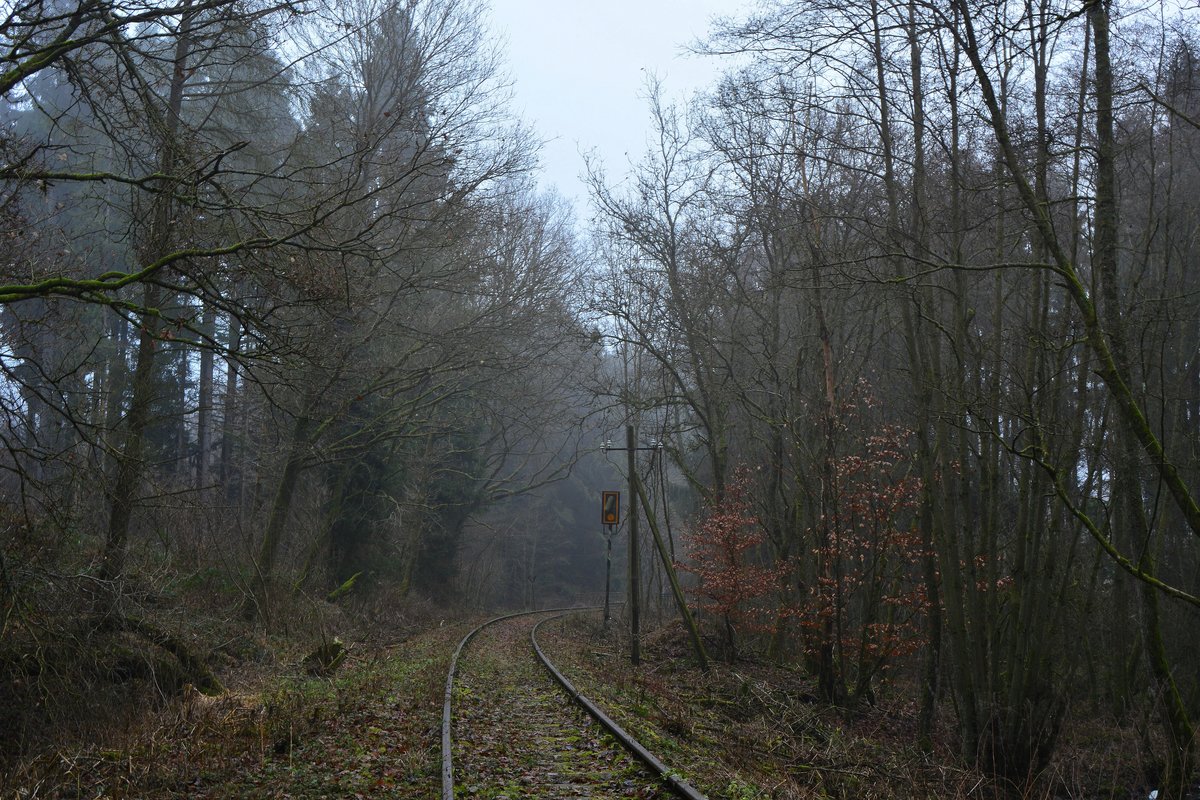 Die Natur hatte sich in den 18Jahren seit der Stilllegung 1998 vieles zurück geholt. Nun wird die Westerwaldquerbahn vielleicht aus dem Dornröschen Schlaf geholt. Denn man plant von Rennerod bis Westerburg eine Draisinenstrecke zu betreiben. Leider ist bis dahin noch viel Arbeit. Bis heute ist die Westerwaldquerbahn bis Rennerod noch größtenteils komplett vorhanden. Telegrafenmasten und Signaltechnik wurden bis heute nicht abgebaut. Blick in Richtung Westerburg.

Halbs 17.12.2016