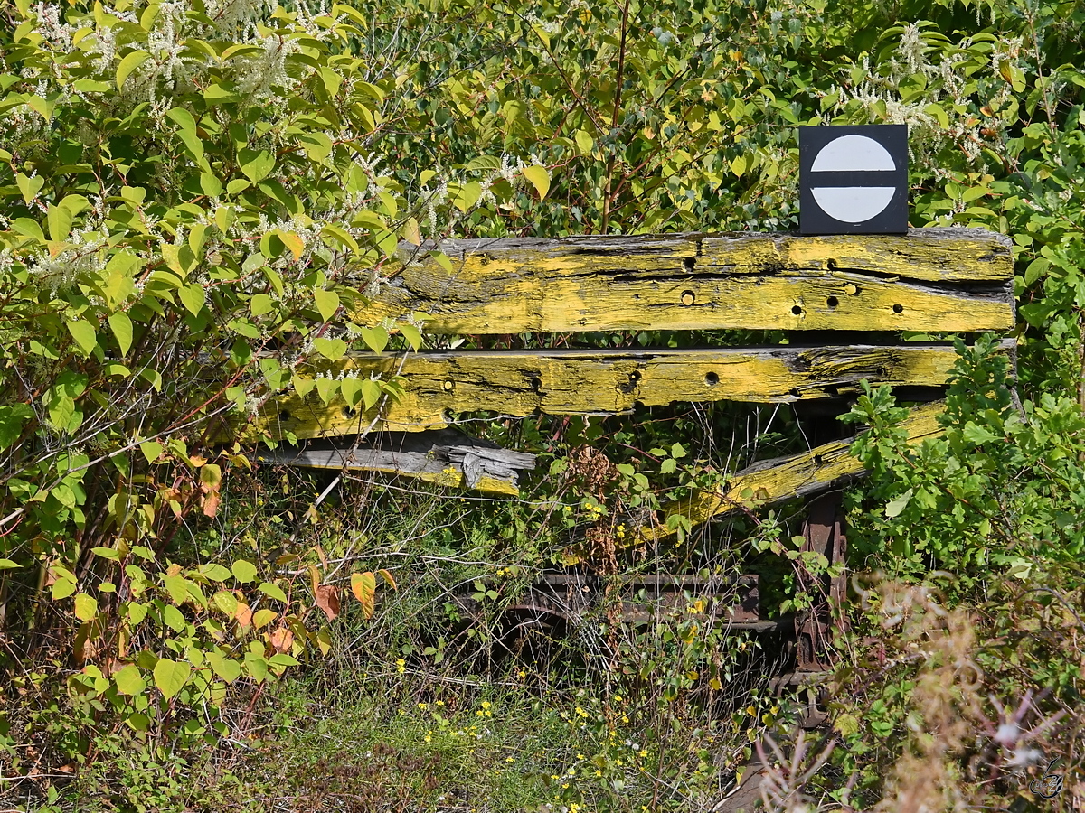 Die Natur ist hier auf dem Vormarsch. (Gelsenkirchen, September 2019)