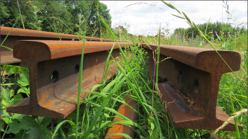 Die Natur holt sich ihr Revier zurück. Währendessen rosten die Schienenprofile munter vor sich hin. Als Motiv bildlich festgehalten am 22.Juni 2014 auf dem frei zugänglichen Gelände der ZLSM (Simpelveld) in den Niederlanden.