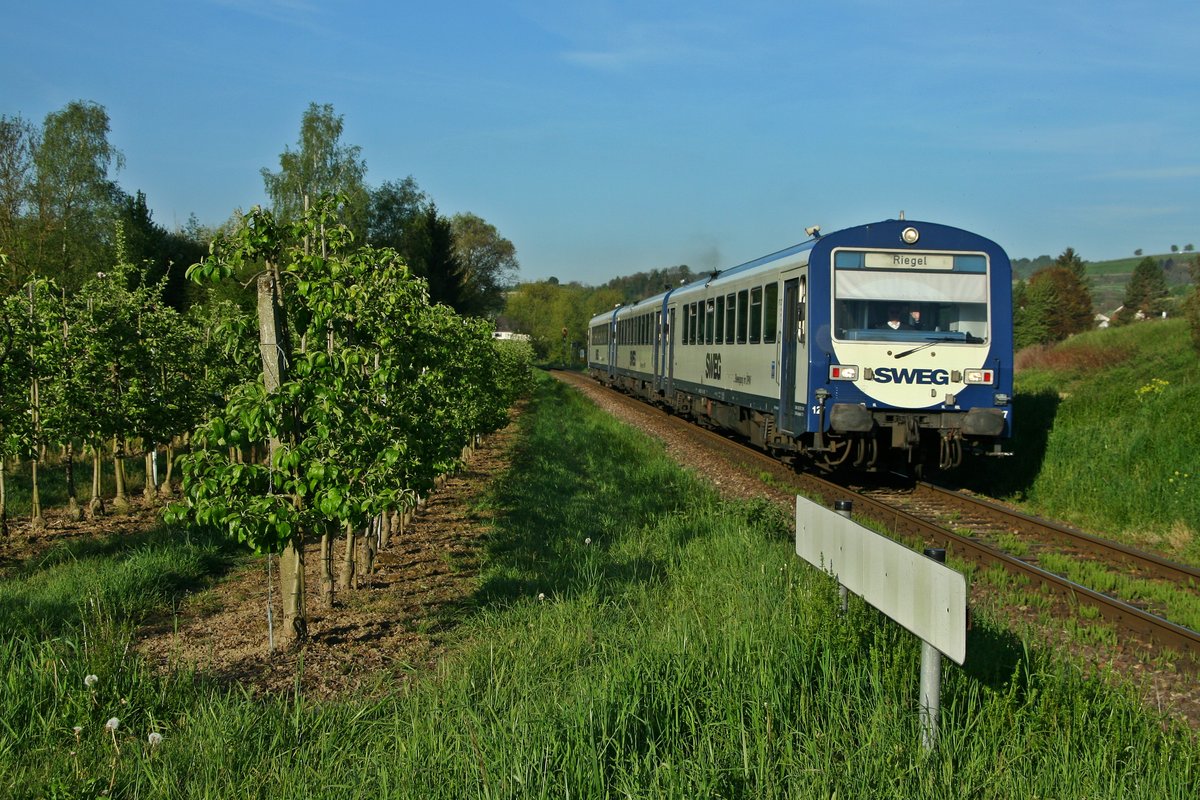 Die NE81-Garnitur, bestehend aus dem VT 126, VT 127 und dem VS 202, war am Morgen des 06.05.16 als SWE 74256 von Gottenheim nach Riegel Ort unterwegs. Hier konnte der Park zwischen Bötzingen und Eichstetten aufgenommen werden.