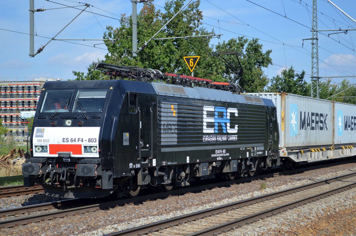 Die neue polnische EVU European Railway Carrier sp. z o.o., Wrocław [PL] mit der MRCE DIspo  ES 64 F4-803  [NVR-Nummer: 91 80 6189 803-0 D-DISPO] und Containerzug am 03.09.20 Durchfahrt Bf. Golm (Potsdam).