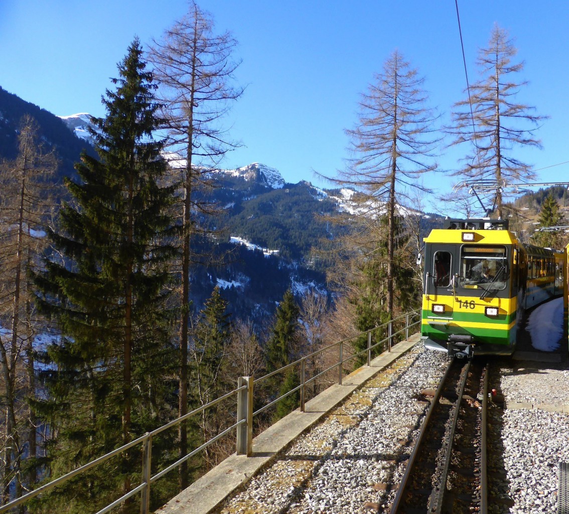 Die neuen Panorama-Triebwagen der Wengernalpbahn: 146 in Rohrfluh, 20.Februar 2015. 