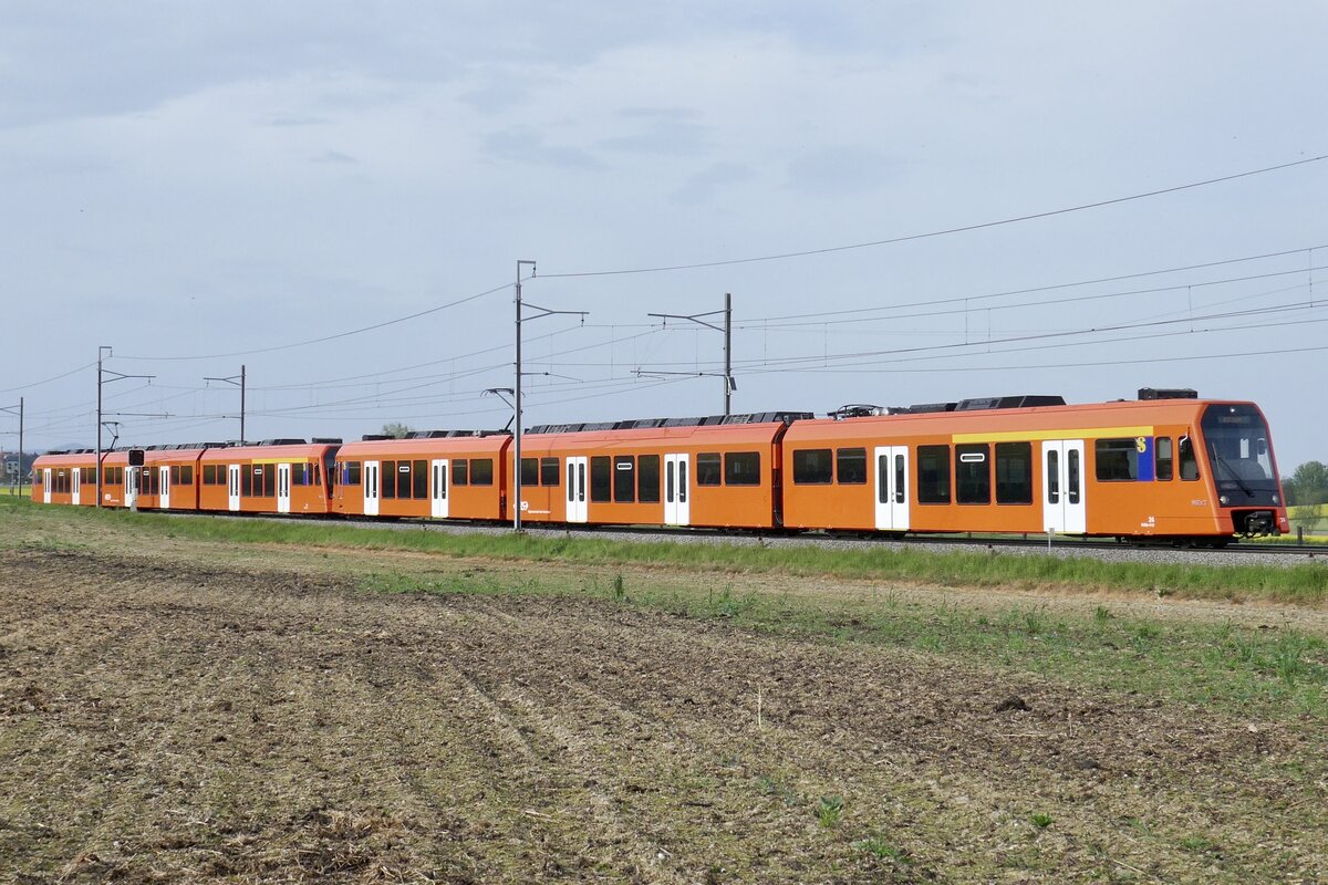 Die NExT RABe 4/12 24 und 29 am 29.4.24 unterwegs zwischen Jegenstorf und Urtenen.