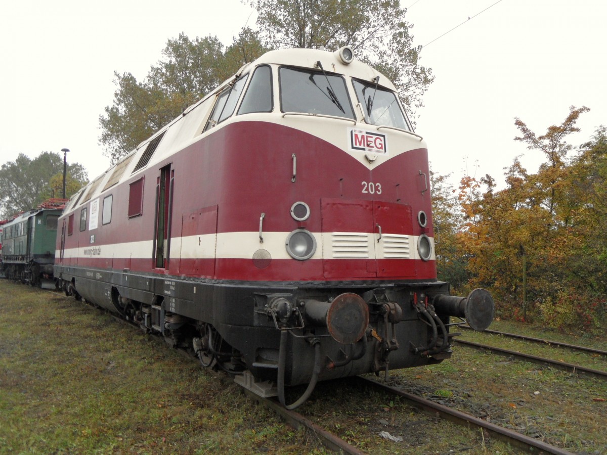 Die nicht betriebsfhige MEG 203, ex 228 503, konnte
im Bw Weimar besichtigt werden, 12.10.2013