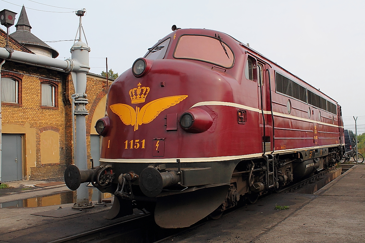 Die NOHAB MY 1151 der CLR - Cargo Logistic Rail Magdeburg zu Gast beim 13. Eisenbahnfest in Berlin-Schöneweide am 17.09.2016.
Die Maschine wurde 1965 bei NOHAB in Trollhättan gefertigt
