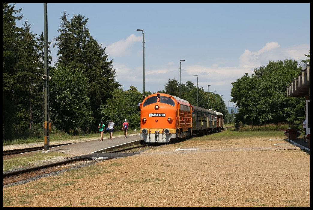 Die Nostalgie Lok M 61 019 wartet mit einem IR aus Tapolca am 16.7.2022 um 13.13 Uhr im Bahnhof Badacsonytördemic-Szigliget auf einen Gegenzug.