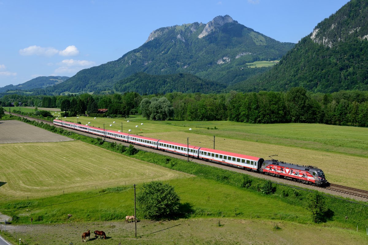 Die ÖBB 1116.138 mit Werbung für 50 Jahre Heeres-Sport war am 25. Mai 2014 für den EC Dienst zwischen München und dem Brenner eingeteilt. Bei Kirnstein konnte sie vor der Kulisse des Heubergs mit dem EC 83 nach Verona Porta Nuova abgelichtet werden. Die Pferde im Bildvordergrund ließ die Vorbeifahrt des Schnellzuges jedoch ungerührt.