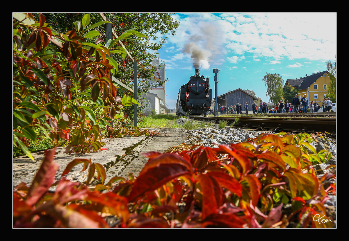 Die ÖGEG Dampflok 77.28 fährt mit dem SR 17187 von Timelkam nach Grünau im Almtal. Pettenbach 23.09.2017