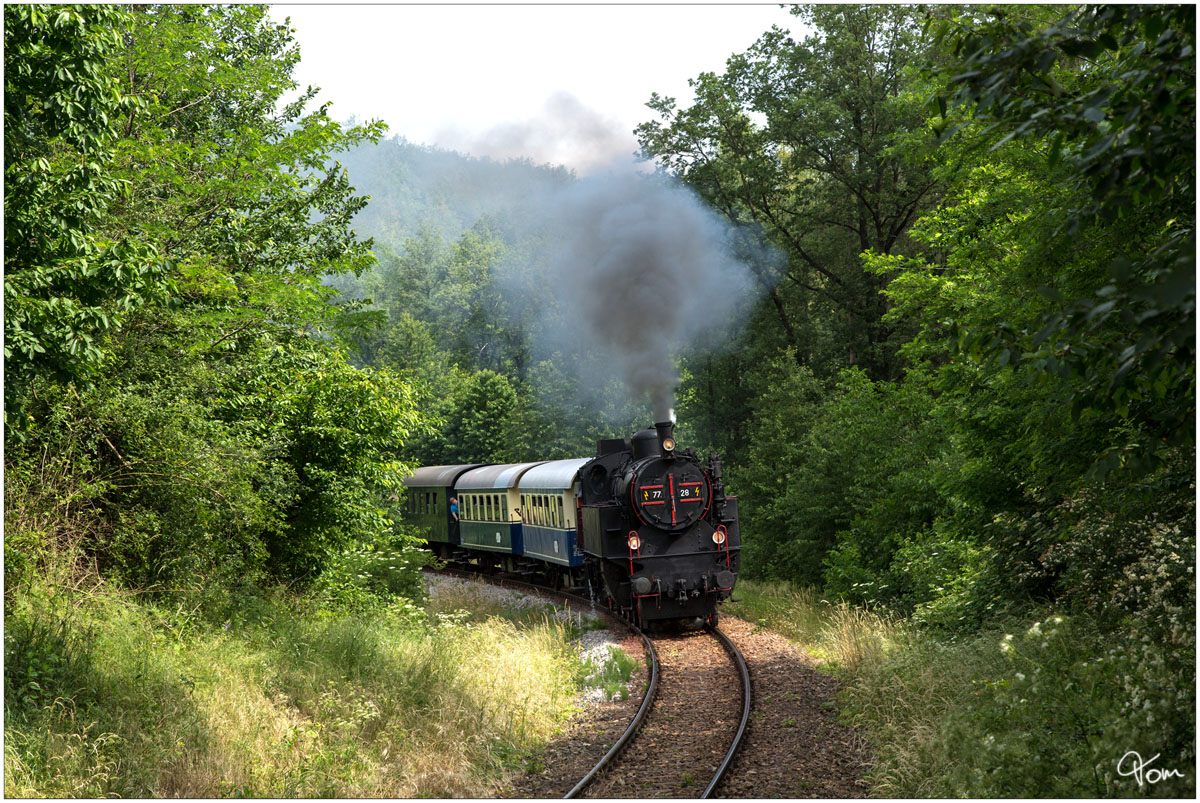 Die ÖGEG Dampflok 77.28 fährt mit dem NÖVOG Zug P16980 von Retz nach Drosendorf. 
Hofern 3.6.2018