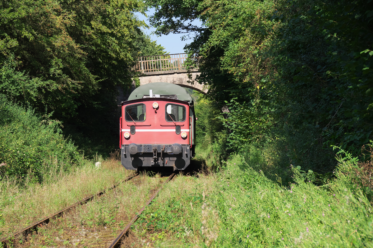 Die Ostertalbahn Ottweiler - Schwarzerden war eine der letzten Bahnstrecken in Deutschland die ans Netz gingen. (Ausgenommen natürlich die Neubaustrecken). 1937 wurde sie als Teilstück und 1938 als Gesamtstrecke befahrbar. 1936 war die Strecke Türkismühle - Schwarzerden - Kusel in Betrieb gegangen, sodass es jetzt auch eine Verbindung zwischen Ottweiler und Kusel durch das Ostertal und den Westrich gab. Köf 11098 ( ex DB 332 098-3 ) beim Fotohalt zwischen Niederkirchen und Werschweiler am 27.08.2016