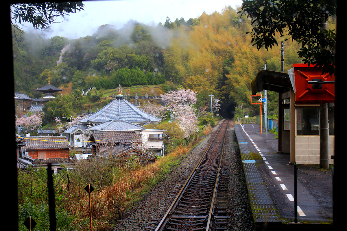 Die Ostküstenlinie der Insel Shikoku aus dem Triebwagen 1509. Der Zug hält an zahlreichen mysteriösen Haltestellen mit grossen Gebirgstempelanlagen, wie hier in Sabase, 3.April 2015. 