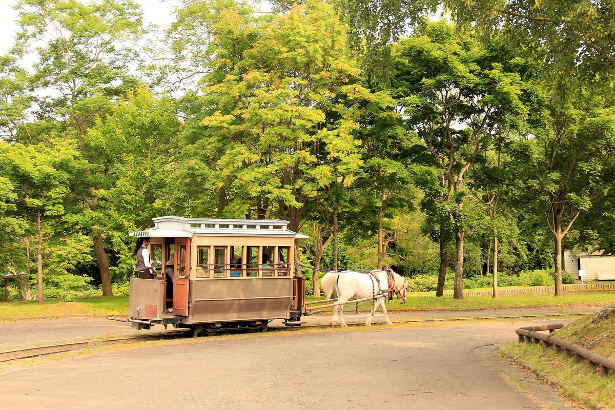 Die Pferdebahn des Freilichtmuseums von Hokkaidô bei Sapporo. Das Museum trägt den Namen  Kolonisationsdorf von Hokkaidô , d.h. Dorf aus der Zeit, wo die sehr spärlich bewohnt gewesene japanische Nordinsel für Landwirtschaft und Bergbau entwickelt wurde. Das Museum wurde 1983 eröffnet und besitzt eine Pferdestrassenbahn (762 mm Spur), wie sie einst in der Hauptstadt Sapporo fuhr. Die Strecke ist etwa einen halben Kilometer lang und hat zwei Züge. Die Wagen wurden 1981 neu erbaut.  31.Juli 2016   