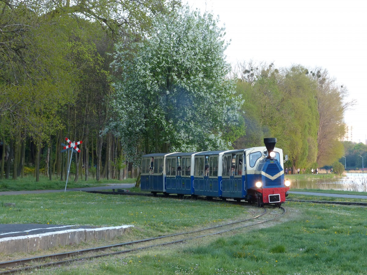 Die Poznaner Parkeisenbahn Maltanka auf ihrer letzten Fahrt an diesem Abend. Danach wird die Lok abgekoppelt und in einen Lokschuppen rangiert. 1.5.2015, Poznan