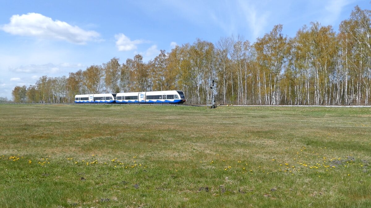 Die RB23 der Usedomer Bäderbahn nach Świnoujście Centrum kurz vor Trassenheide.
Aufgenommen im April 2022.