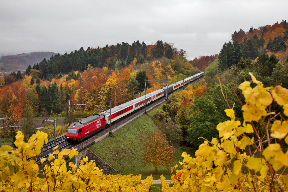 Die Re 460 017-7 fährt morgens mit dem EN 459 Canopus aus Prag nach Zürich HB durch die Weinberge in Villnachern.Bild Oktober 2015