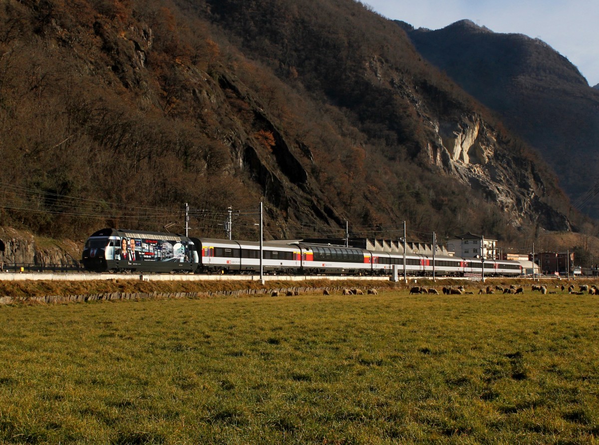 Die Re 460 028 mit einem IR am 19.12.2015 unterwegs bei Arbedo-Castione.