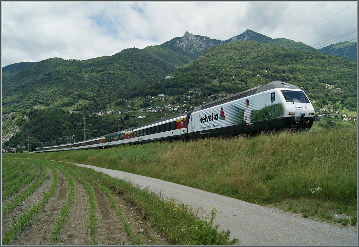 Die Re 460 035-9  Helvetia  fährt mit dem IR 2426 Locarno - Zürich kurz nach Riazzino die kleine Rampe hoch um dann zum ersten Mal auf ihrer Fahrt den Ticino zu überqueren; bis Airolo überquert der Zug anschliessend noch acht mal den Ticino.
21. Juni 2015