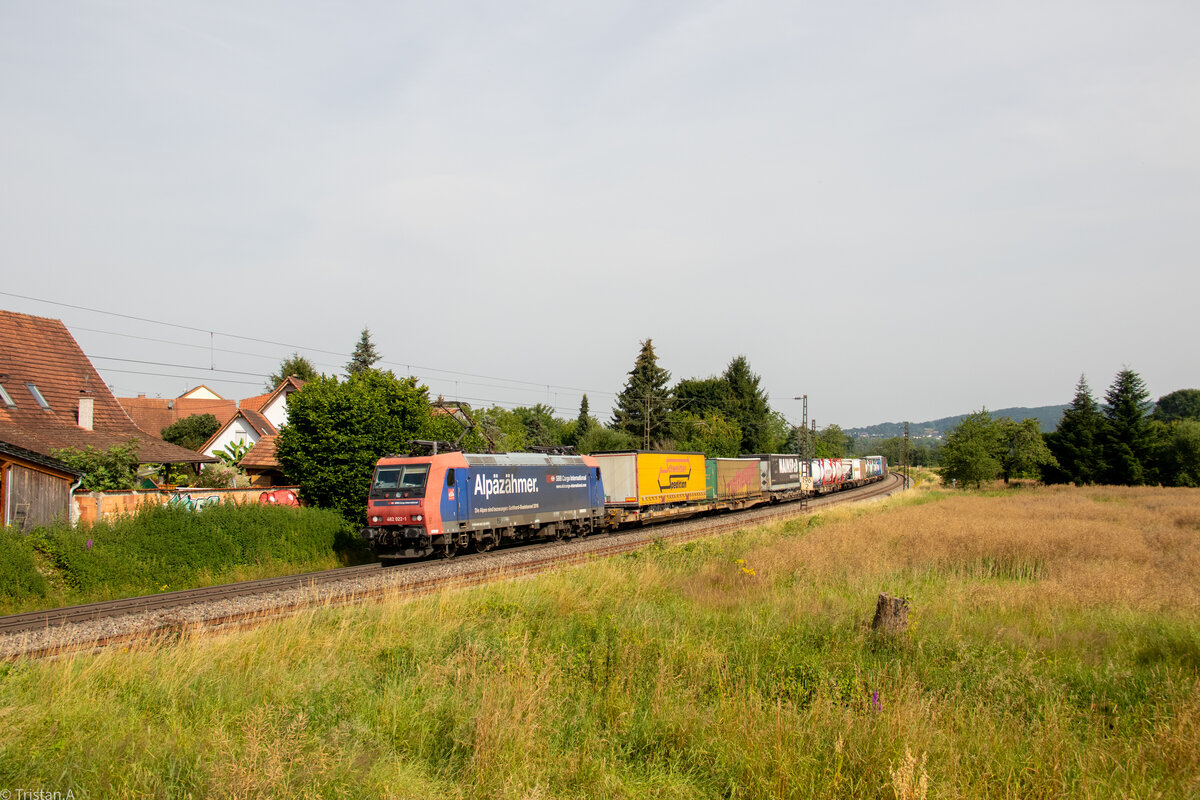 Die Re 482 022  Alpäzähmer  zieht einen Guterzüg durch Kollmarsreute Richtung Basel. 29.6.2024