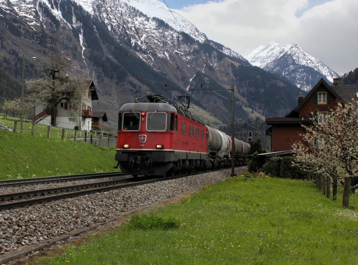 Die Re 6/6 11656 mit einem Güterzug am 25.04.2012 unterwegs bei Silenen.