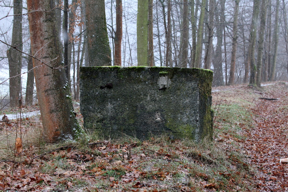 Die Reste eines einfachen Beton-Prellbocks in Nierderreinsberg, ehemalige Strecke  164h   Nossen-Wilsdruff im Tal der Freiberger Mulde. Die ehemals angeschraubte Holzbohle ist verwittert, die Bolzen ragen nun funktionslos aus dem Beton.
02.02.2019, 13:53 Uhr , mittlerweile schneit es in großen Flocken.