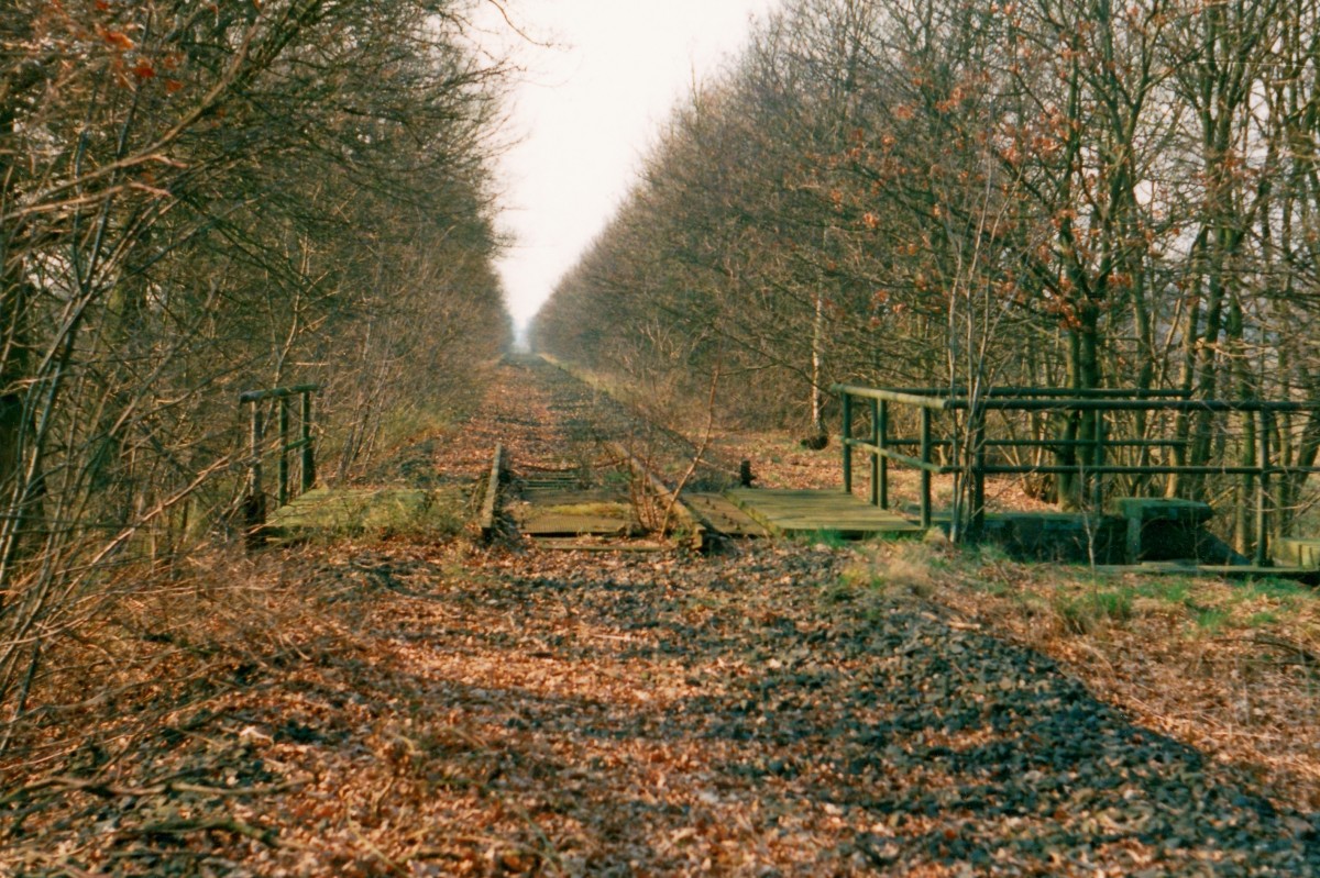 Die Reste der Strecke Lneburg–Buchholz (Nordheide) im Mrz 1995 zwischen Tangendorf und Brackel; der Personenverkehr endete am 26.09.1981, die Stilllegung des hier gezeigten Abschnitts (Mechtersen–Marxen) erfolgte zum 01.05.1989.