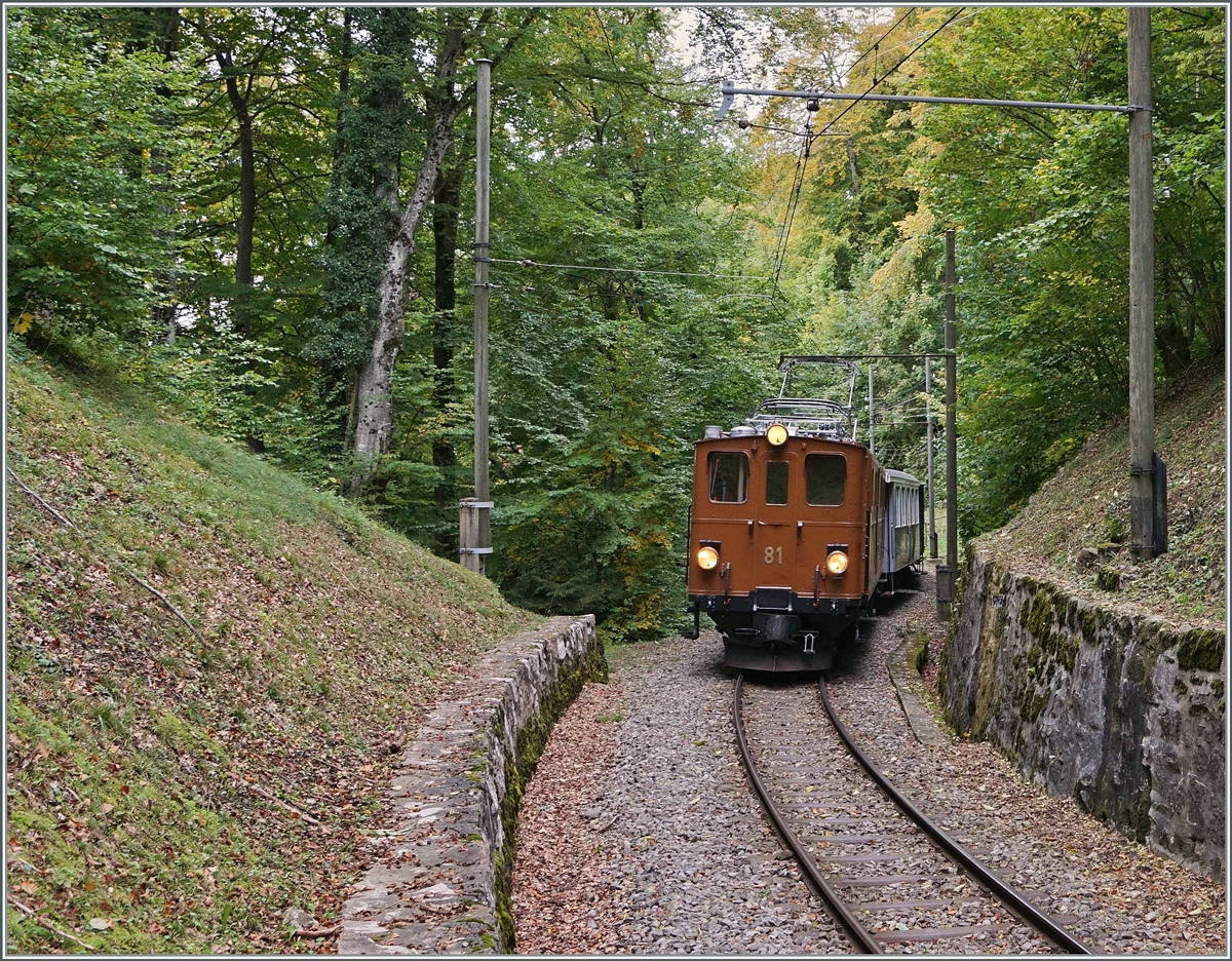 Die RhB Bernina Bahn Ge 4/4 81 fährt kurz vor dem Baye de Clarens Viadukt oberhalb von Blonay durch den Wald in Richtung Chamby. 

11. Oktober 2020