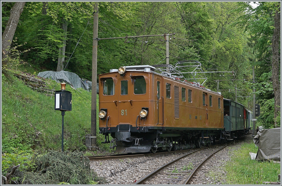 Die RhB Bernina Bahn Ge 4/4 81 der Blonay-Chamby Bahn ist auf dem Weg von Chaulin nach Blonay und hat die Bifurcation Chaulin erreicht. 
Dieses Bild datiert vom letzten Jahr, doch allem Anschein nach ist die Ge 4/4 nach ihrem Aufenthalt in der alten Heimat schon wieder auf dem Weg an den Genfer See...

24. Mai 2021