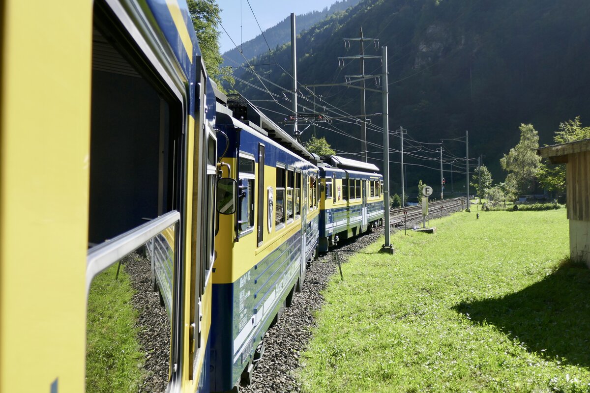 Die Rückfahrt von Lauterbrunnen nach Zweilütschinen mit den ABeh 4/4 II 311–313 am 19.9.25 bei der Kreuzungsstelle Sandweidli.