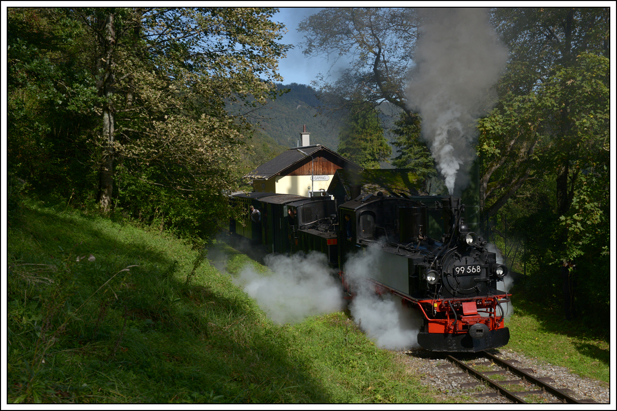 Die Sächsische IV K 99 568 der Preßnitztalbahn als Vorspann vor U1 mit dem zweiten Zug von Kienberg nach Lunz am See am 27.9.2020 bei der Ausfahrt aus der Haltestelle Gaming. 