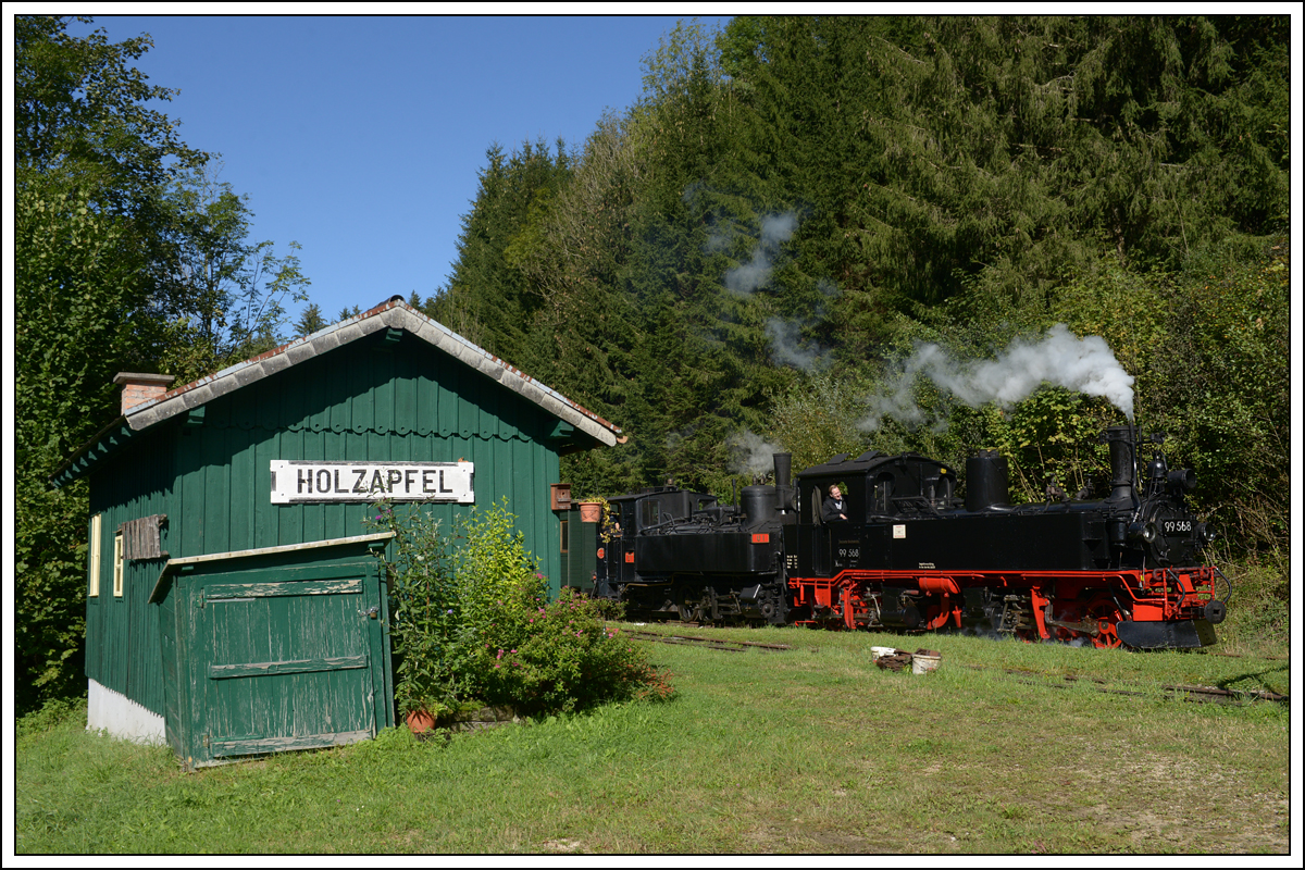 Die Sächsische IV K 99 568 der Preßnitztalbahn als Vorspann vor U1 mit dem zweiten Zug von Kienberg nach Lunz am See am 27.9.2020 bei der Durchfahrt in Holzapfel.