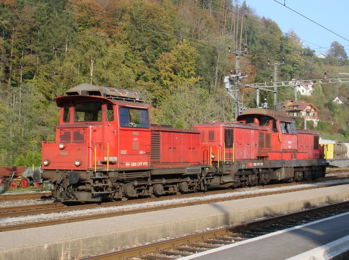Die SBB-Em 3/3 18821 (Baujahr 1962) und die SBB-Bm 6/6 18508 (Baujahr 1960) am 14. Oktober 2007 anlässlich des DVZO-Fahrzeugtreffens in Bauma.