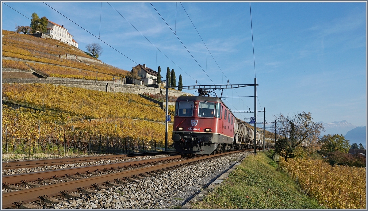 Die SBB Re 420 257-8 fährt kurz vor Lutry mit einem Kesselwagenzug durch das herbstliche Lavaux.

3. Nov. 2017