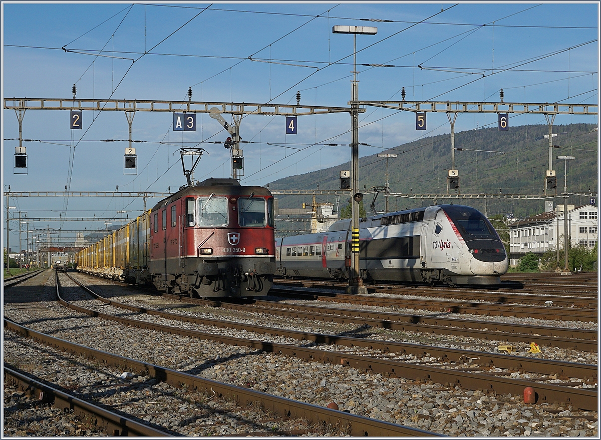 Die SBB Re 430 350-9 verlässt mit einem Postzug den Rangierbahnhof Biel. Die Re 4/4 III 11350 ist die einzige Re 4/4 III mit nur einem Stromabnehmer und den eckigen Puffer-Teller.
 
Im Hintergrund steht der TGV Lyria 4411, welcher gegen zehn Uhr nach Bern fahren wird.

24. April 2019