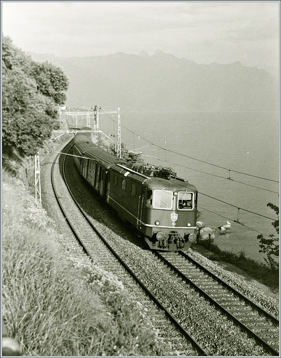 Die SBB Re 4/4 II 11314 ist zwischen St-Saphorin und Rivaz mit einem Schnellzug in Richtung Lausanne unterwegs. Leider geht auf den damals gemachten Aufzeichnungen nicht hervor, ob der Zug nach Genève oder Zürich (via Jura Südfuss) fuhr. Beachtenswert ist auf diesem Bild auch die zierliche Fahrleitung. 

Analogbild vom Juli 1985