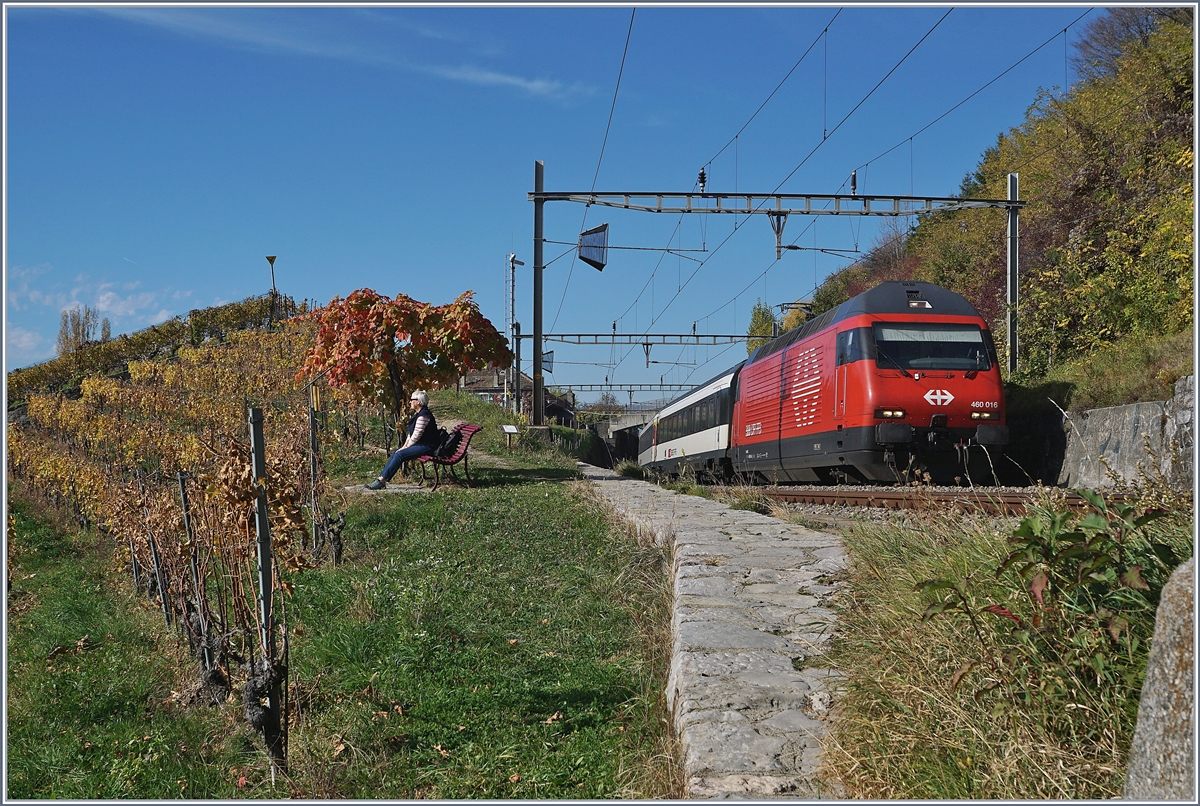 Die SBB Re 460 016 mit ihrem 2521 von Genève Aéroport nach Luzern zwischen Bossière und Grandvaux im bunten Lavaux, dessen Herbstfarben langsam aber sicher verblasen.
26. Okt. 2017