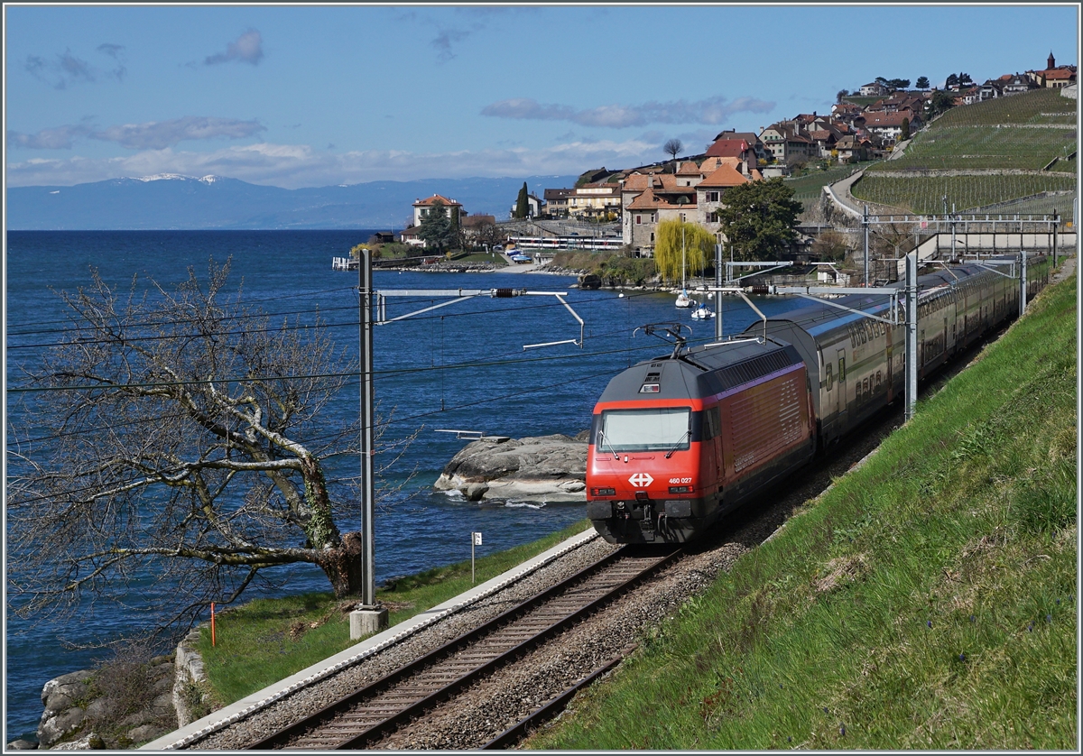 Die SBB Re 460 027 schiebt zwischen St-Saphorin und Rivaz ihren IR 90 in Richtung Lausanne.

27. März 2021