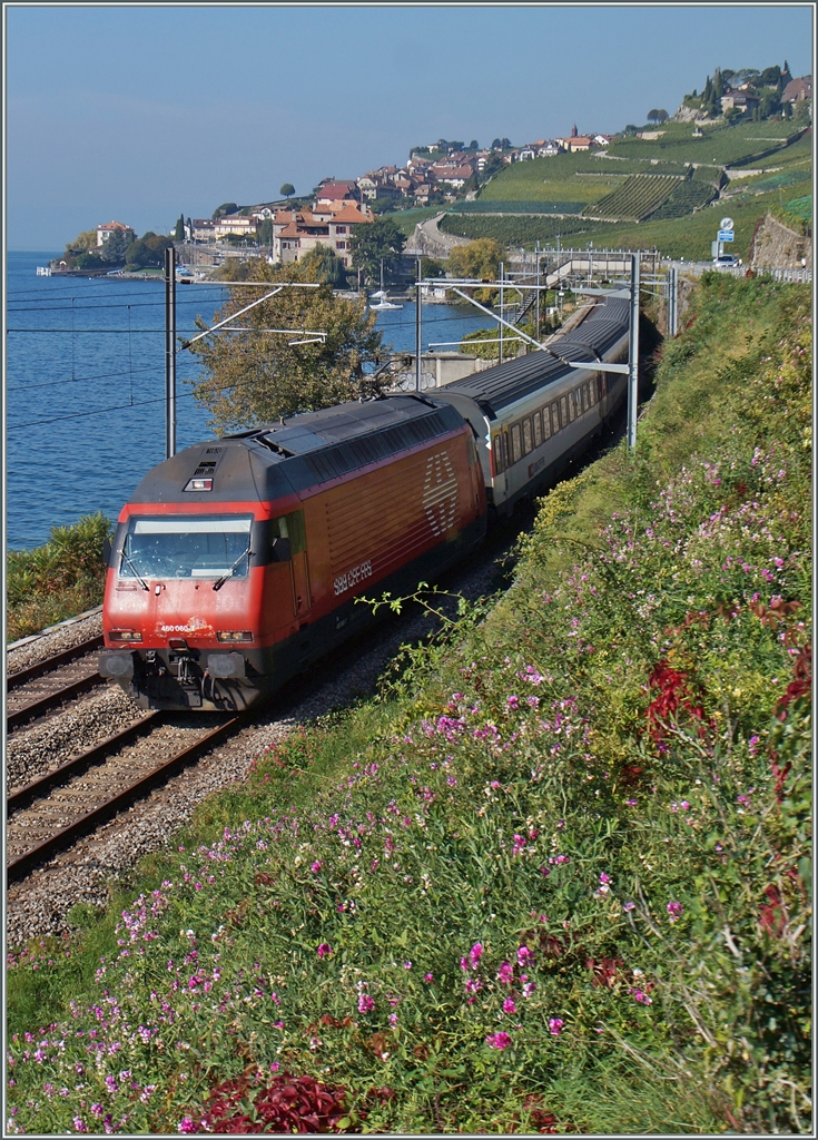 Die SBB Re 460 060-7 fährt mir ihrem IR 1815 am Genfersee bei St-Saphorin entlang.
3. Okt. 2015