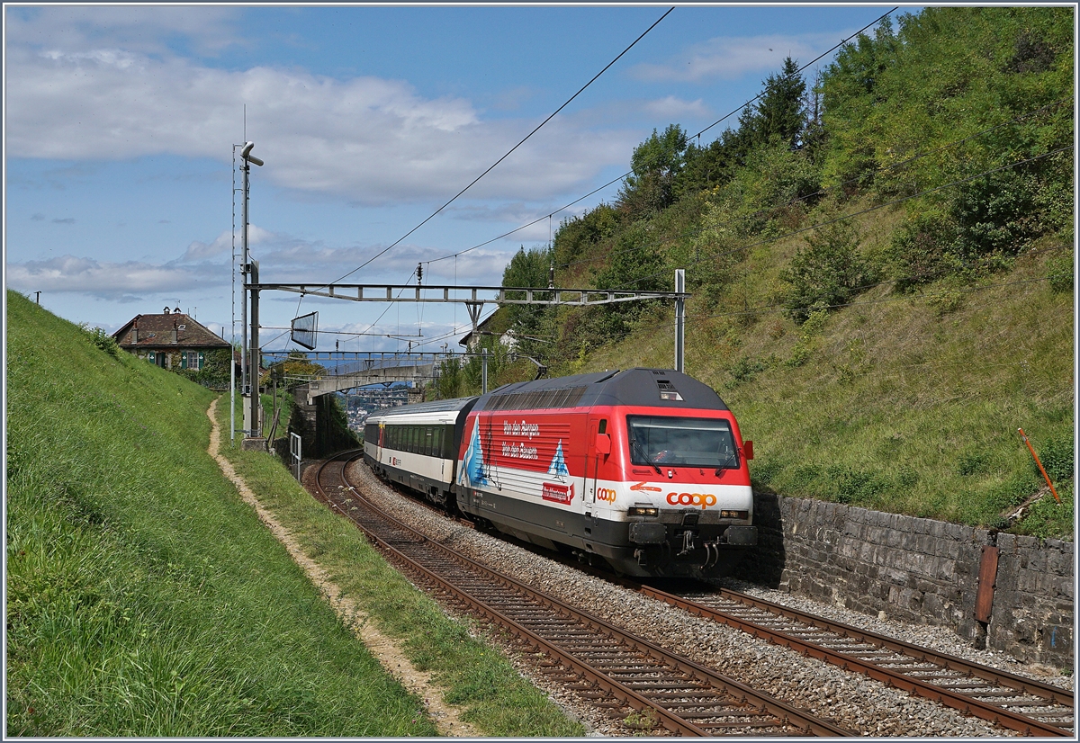 Die SBB Re 460 065-6 mit ihrem IR 2521 von Genève Aéroport nach Luzern zwischen Bossière und Grandvaux.
7. Sept. 2017
