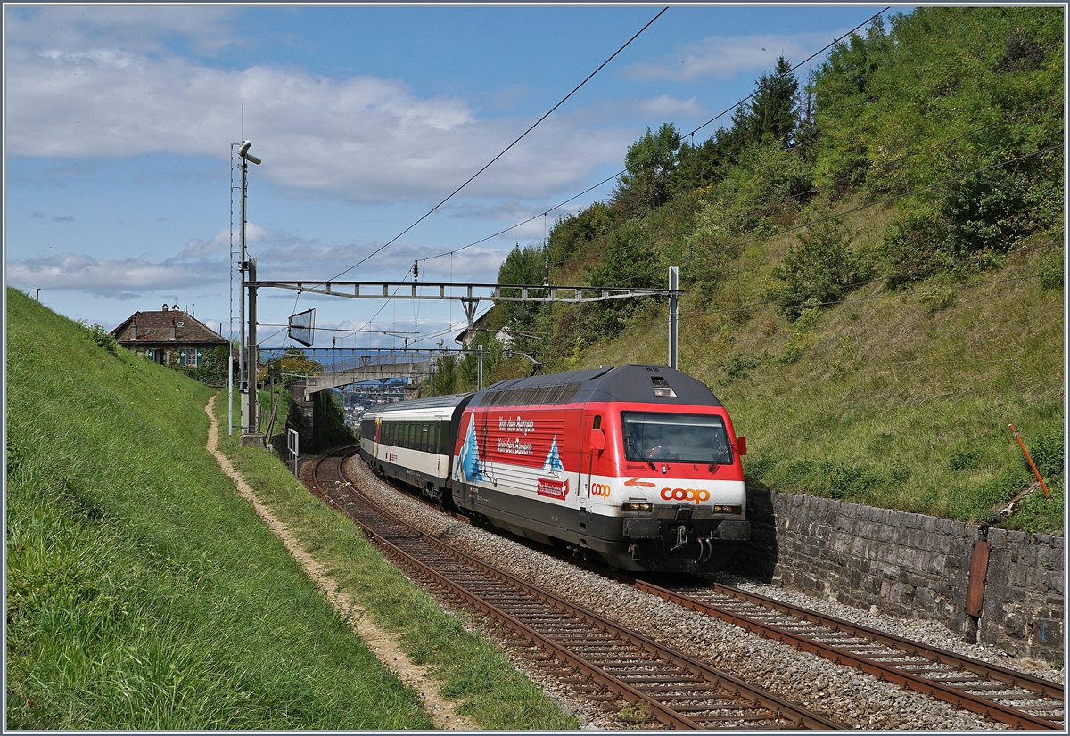 Die SBB Re 460 065-6 mit ihrem IR 2521 von Genève Aéroport nach Luzern zwischen Bossière und Grandvaux.
7. Sept. 2017