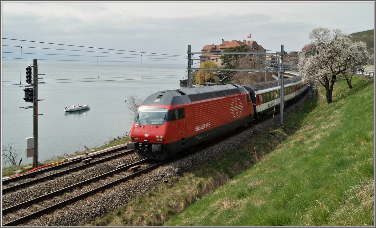 Die SBB Re 460 084 zieht kurz nach Rivaz ihren IR 1717 Richtung Brig.
22. März 2015
