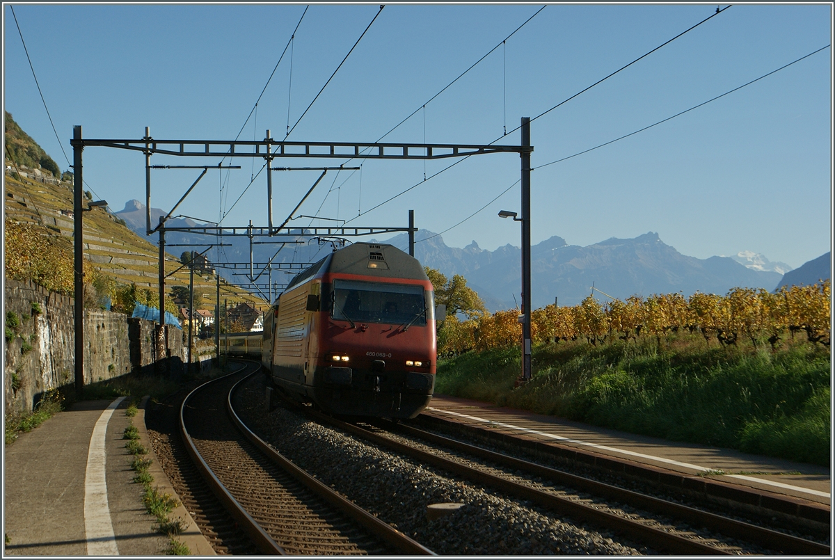 Die SBB Re 460 088-0 schlngelt sich mit ihrem IR durch die herbstlichen Rebberge bei Epesses.
28. Oktober 2013