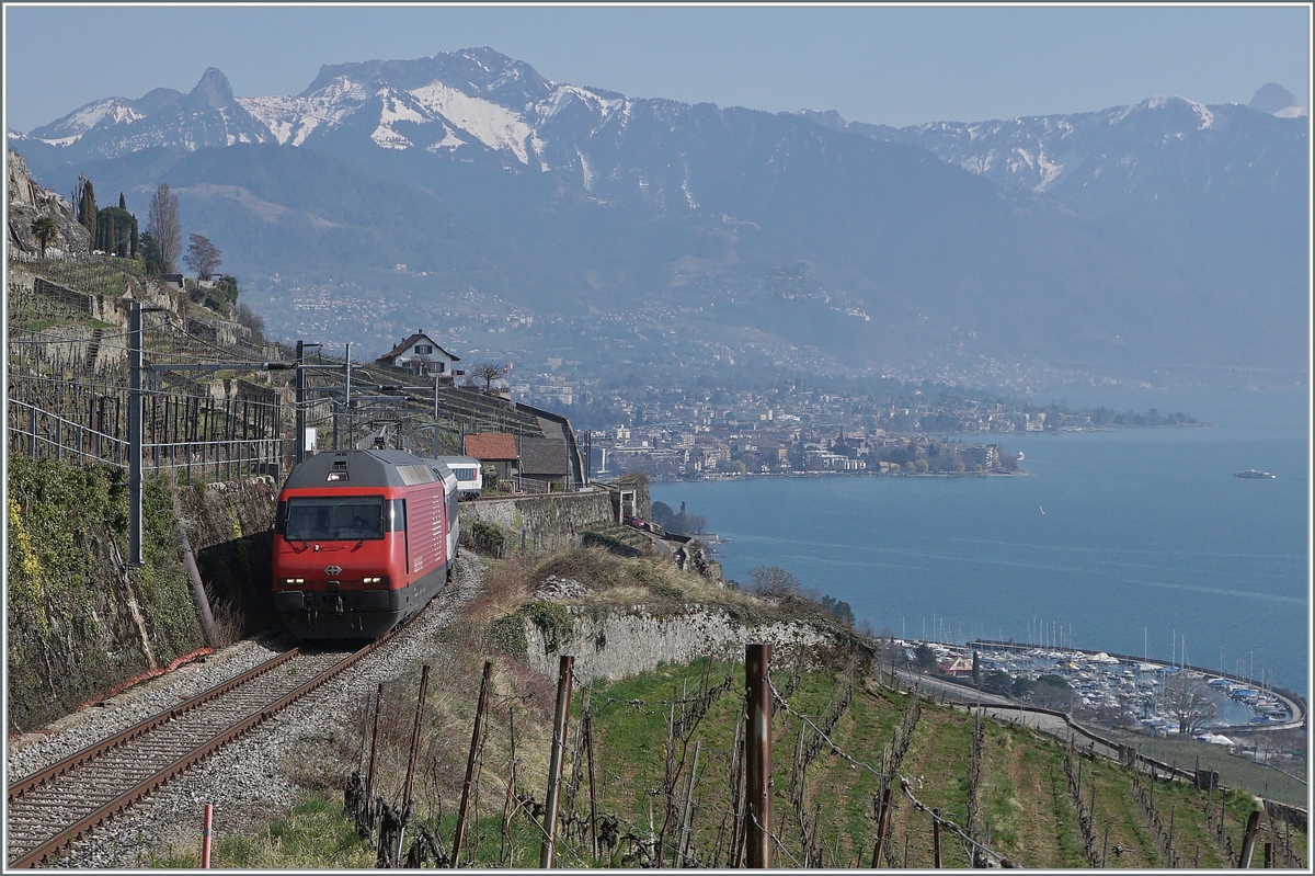 Die SBB Re 460 103-5  Heitersberg  ist mit ihrem RE 30268 von St-Maurice nach Genève Aéroport zwischen Vevey und Chexbres unterwegs. Begünstigt durch den Aufnahmewinkel versteckt sich der Zug praktisch vor sich selbst.

20. März 2022