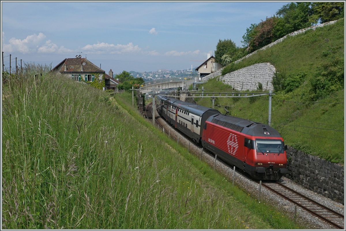 Die SBB Re 460 113-4 mit einem IC nach St.Gallen zwischen Bossière und Grandvaux.
26. Mai 2016