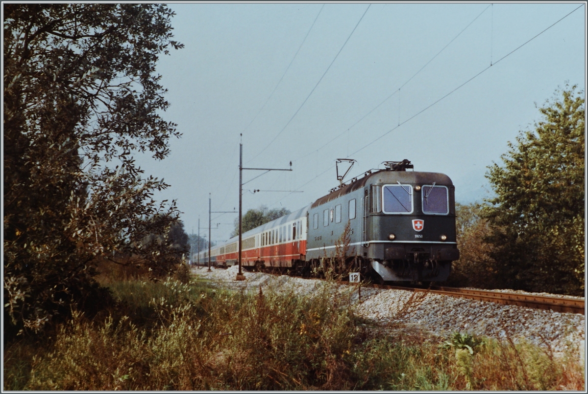 Die SBB Re 6/6 11650  Schönenwerd  ist kurz nach Lengnau bei Kilometer 12 auf der MLB in Richtung Grenchen mit dem IC  Mont Blanc  unterwegs. Die sechsachsige Lok befördert den von Genève nach Hamburg verkehrenden Zug auf dem Abschnitt Lausanne - Delémont. 

Analogbild vom Oktober 1984