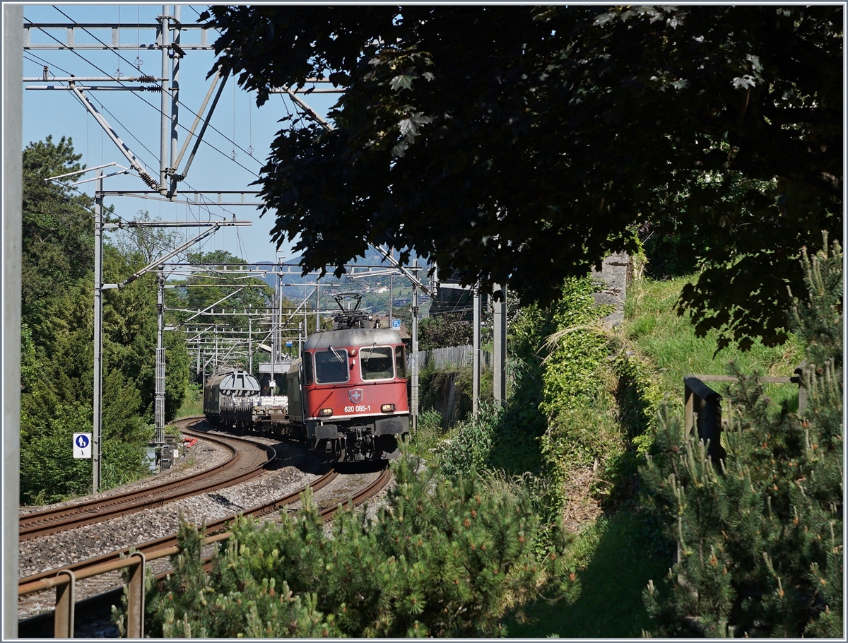 Die SBB Re 6/6 11685 (Re 620 085-1)  Sulgen  schlängelt sich mit ihrem Güterzug auf der Fahrt in Richtung Wallis hinter dem Château de Chillon durch. 

20. Mai 2020