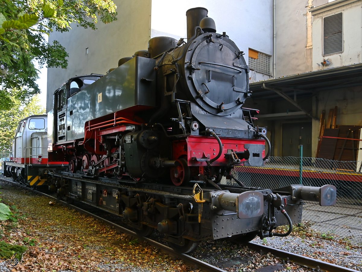 Die Schmalspurdampflokomotive der Rügensche Bäderbahn (vermutlich 99 1781) konnte ich Anfang September 2020 auf dem Gelände der Westfälischen Lokomotiv-Fabrik Reuschling in Hattingen entdecken. Am Tor sprach mich der Nachbar an und hat mir erlaubt ein paar Bilder von seinem Grundstück aus zu machen. Vielen Dank für diese nette Geste.